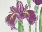 Japanese Shikishi Art Board Vtg Painting Nihonga Picture Iris Hanashoubu A523