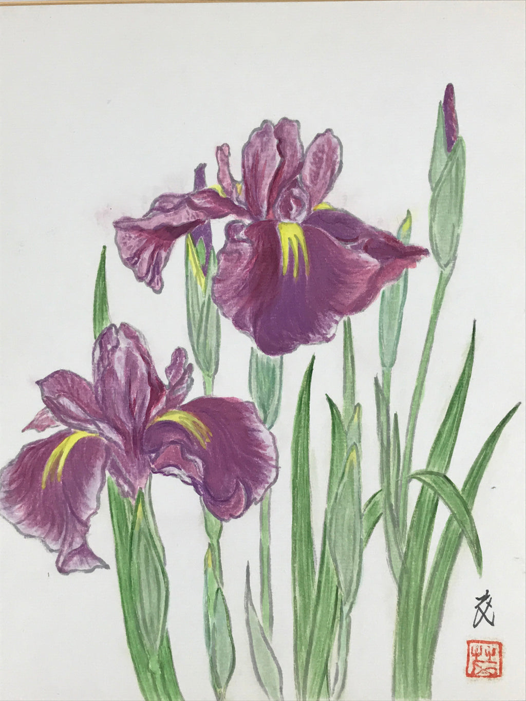 Japanese Shikishi Art Board Vtg Painting Nihonga Picture Iris Hanashoubu A523