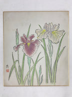 Japanese Shikishi Art Board Vtg Painting Nihonga Picture Iris Hanashoubu A524