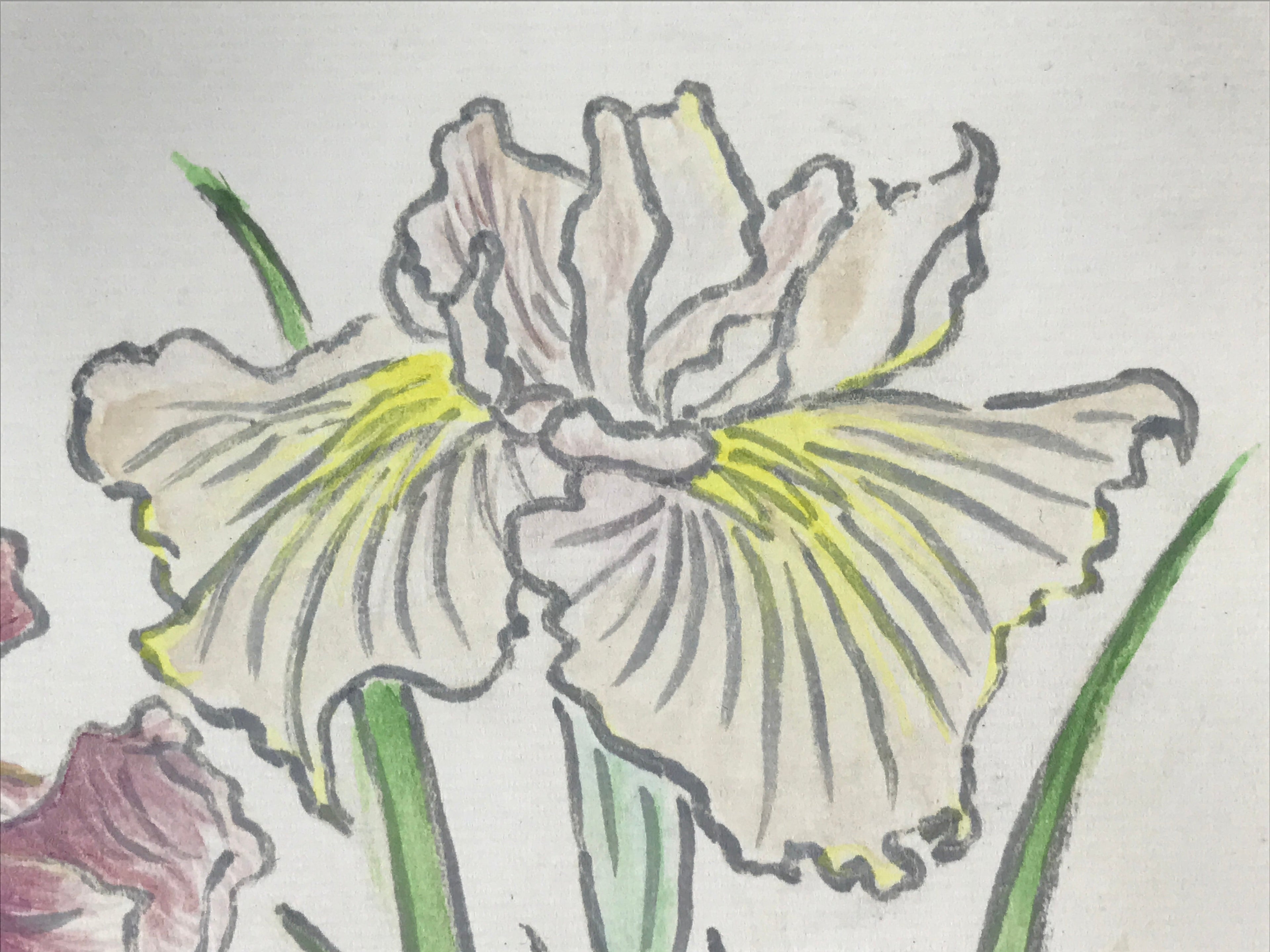 Japanese Shikishi Art Board Vtg Painting Nihonga Picture Iris Hanashoubu A524