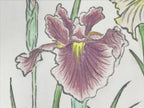 Japanese Shikishi Art Board Vtg Painting Nihonga Picture Iris Hanashoubu A524