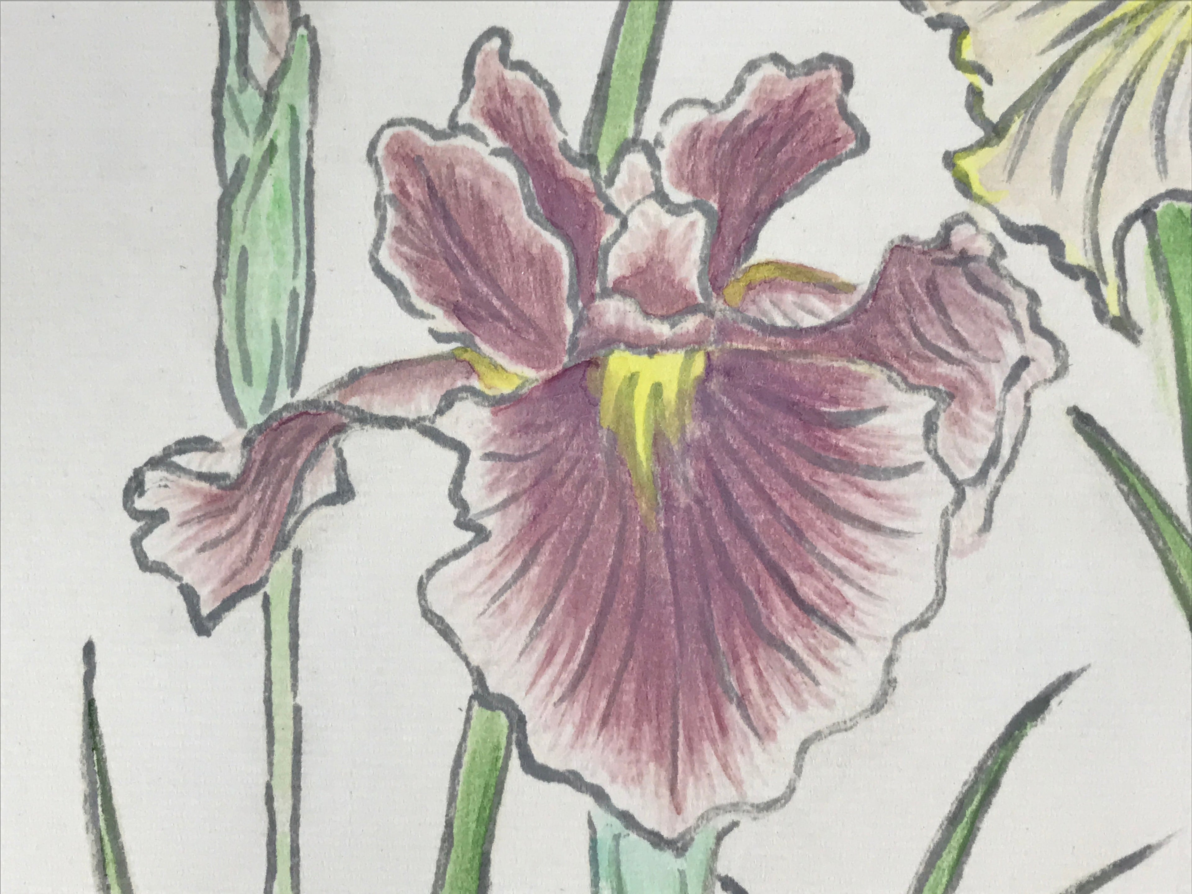 Japanese Shikishi Art Board Vtg Painting Nihonga Picture Iris Hanashoubu A524