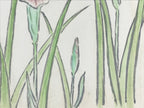 Japanese Shikishi Art Board Vtg Painting Nihonga Picture Iris Hanashoubu A524