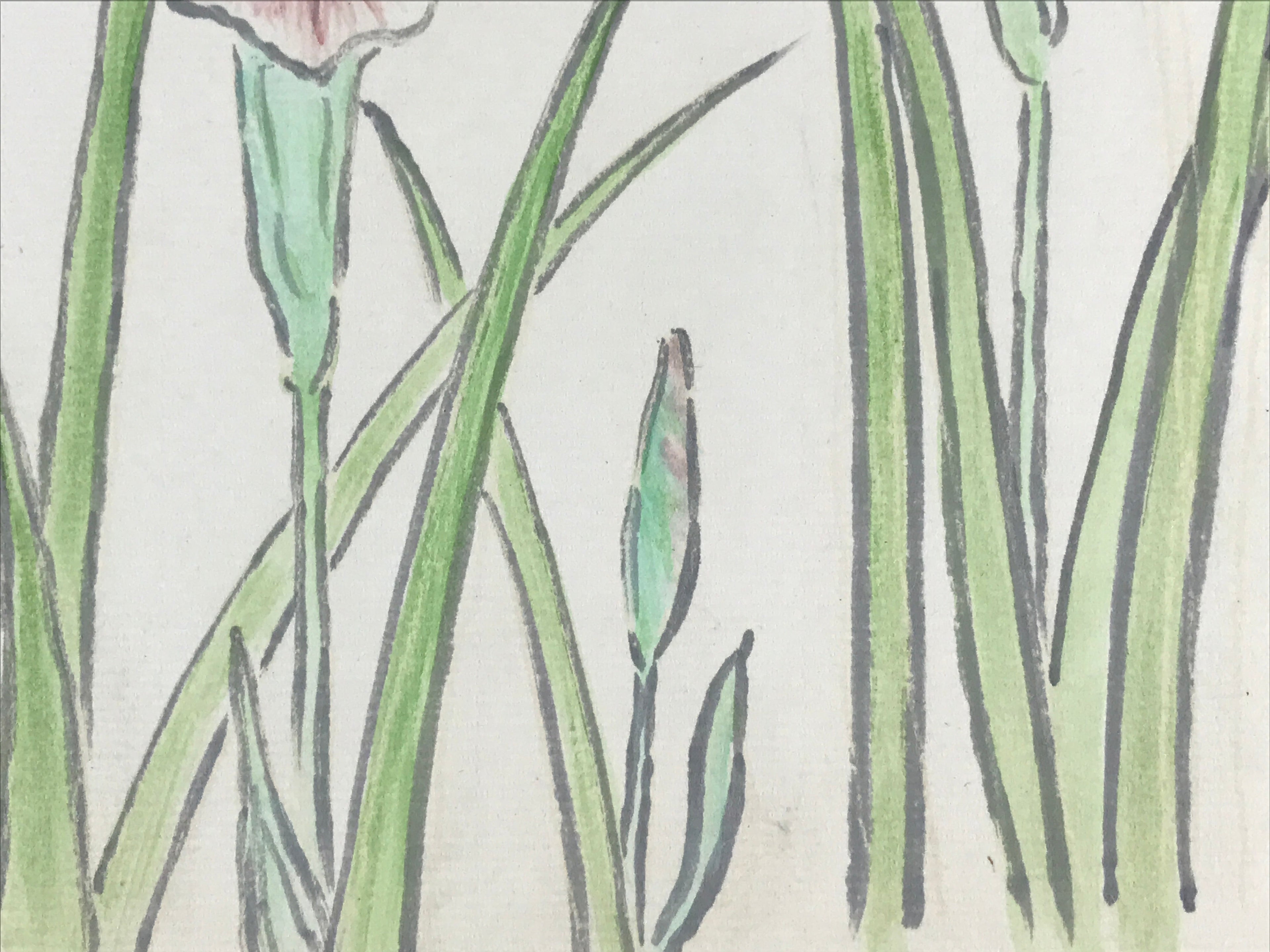 Japanese Shikishi Art Board Vtg Painting Nihonga Picture Iris Hanashoubu A524