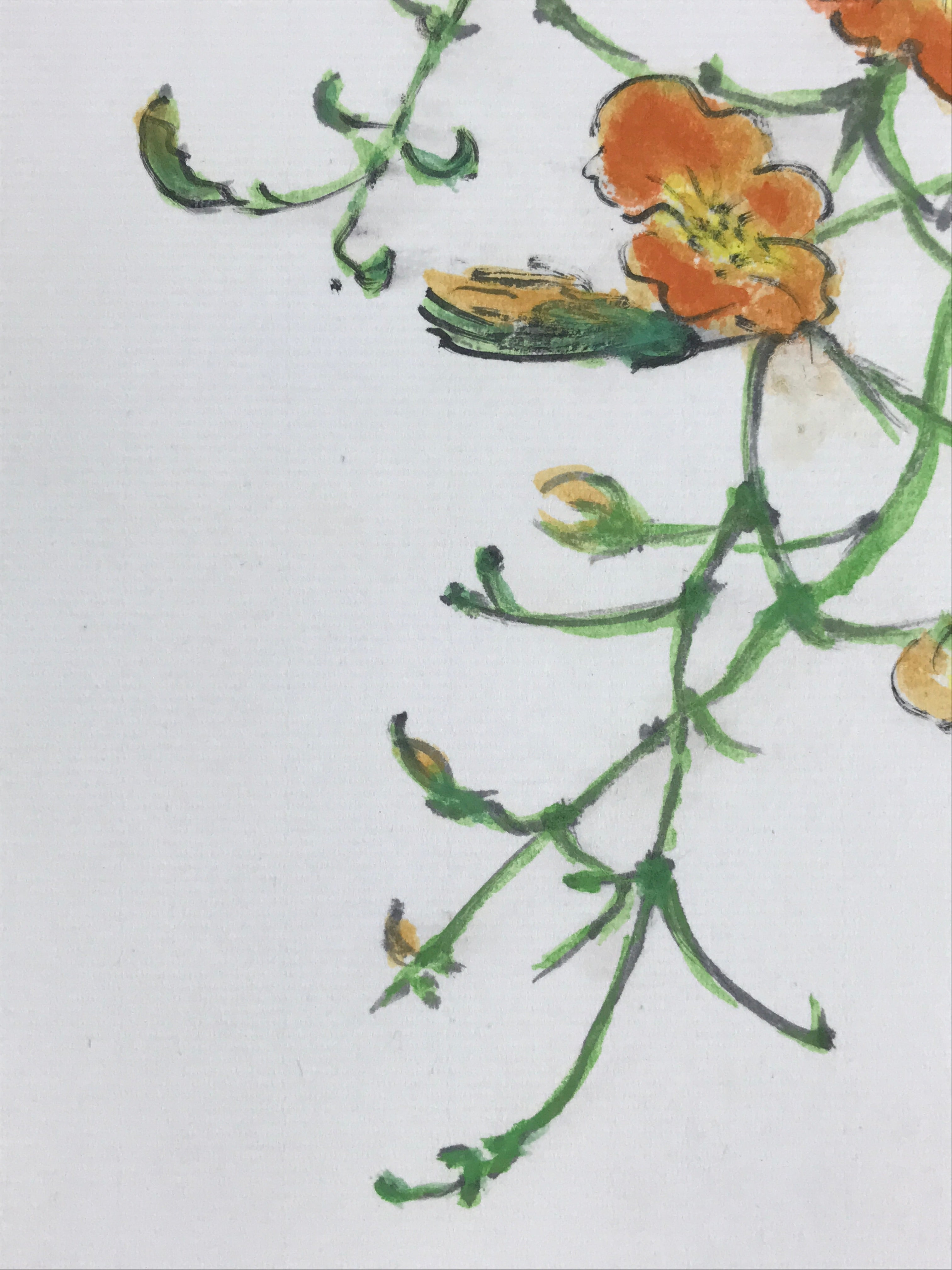 Japanese Shikishi Art Board Vtg Painting Nihonga Picture Orange Cosmos A525