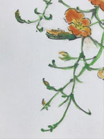 Japanese Shikishi Art Board Vtg Painting Nihonga Picture Orange Cosmos A525