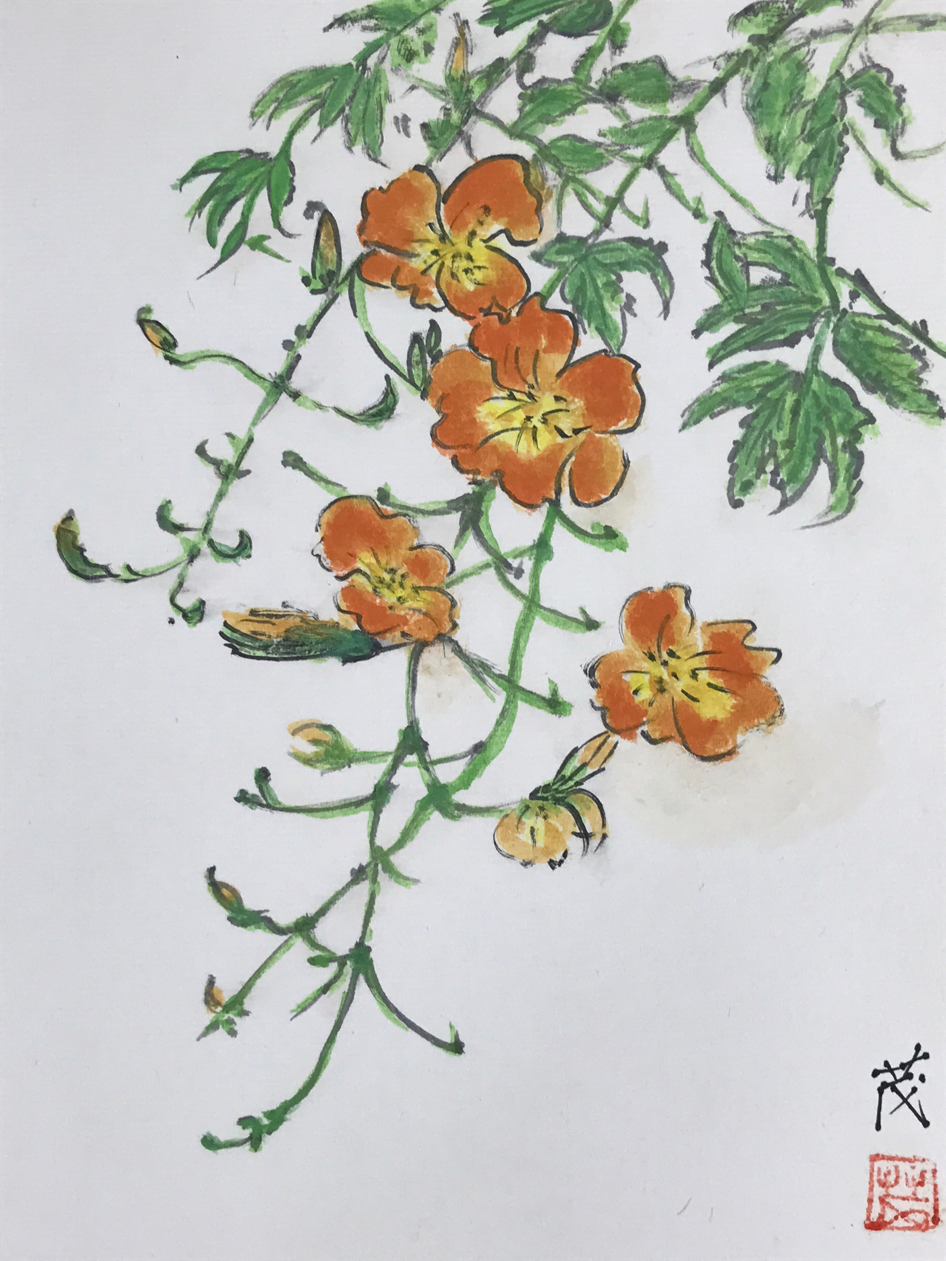 Japanese Shikishi Art Board Vtg Painting Nihonga Picture Orange Cosmos A525