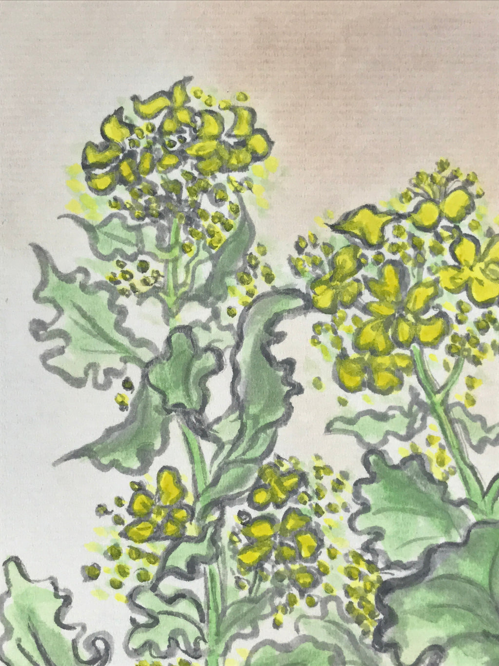 Japanese Shikishi Art Board Vtg Painting Nihonga Picture Yellow Nanohana A527