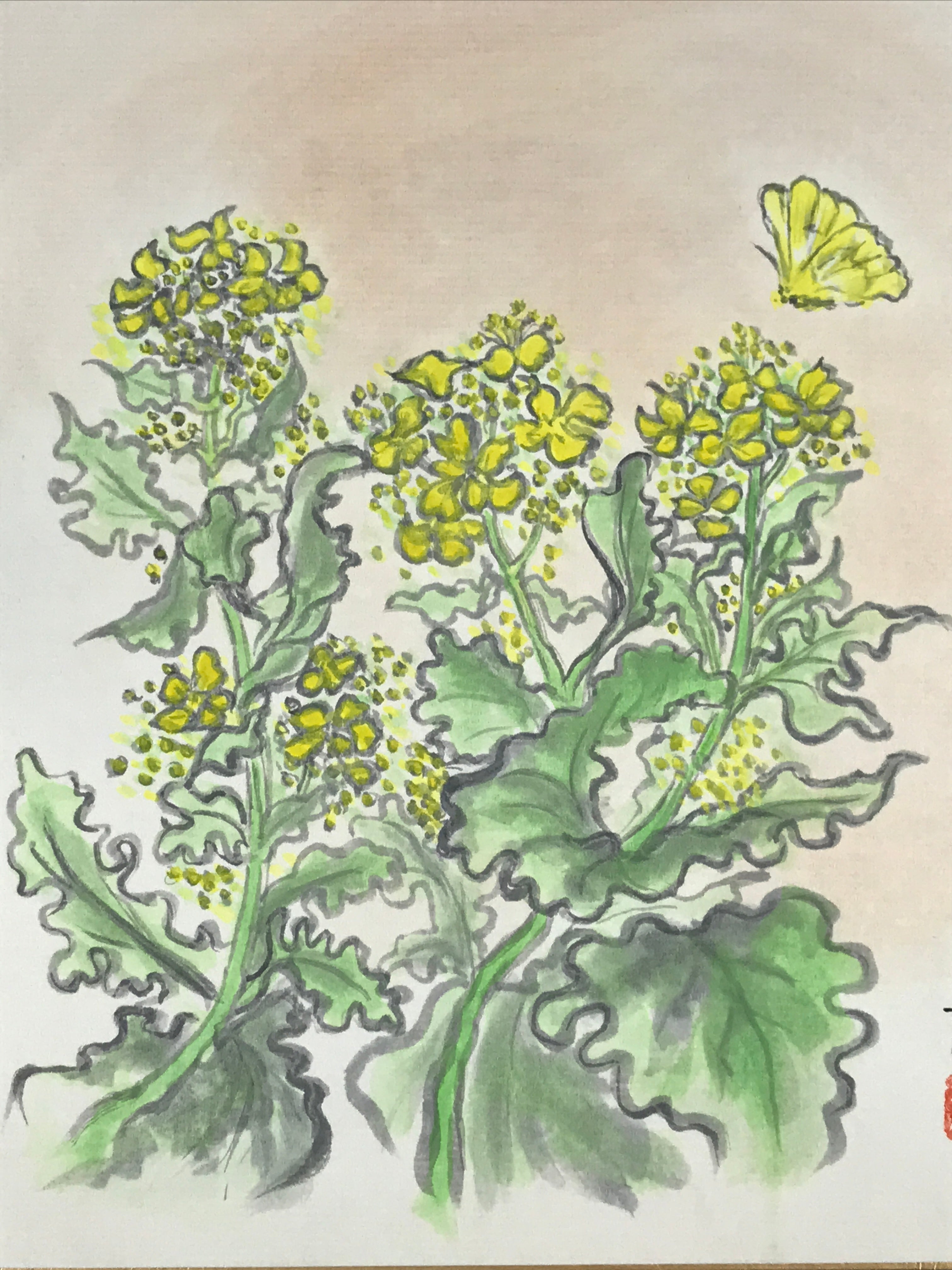 Japanese Shikishi Art Board Vtg Painting Nihonga Picture Yellow Nanohana A527