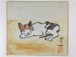 Japanese Shikishi Art Board Vtg Sleeping Cat White Orange Brown A625