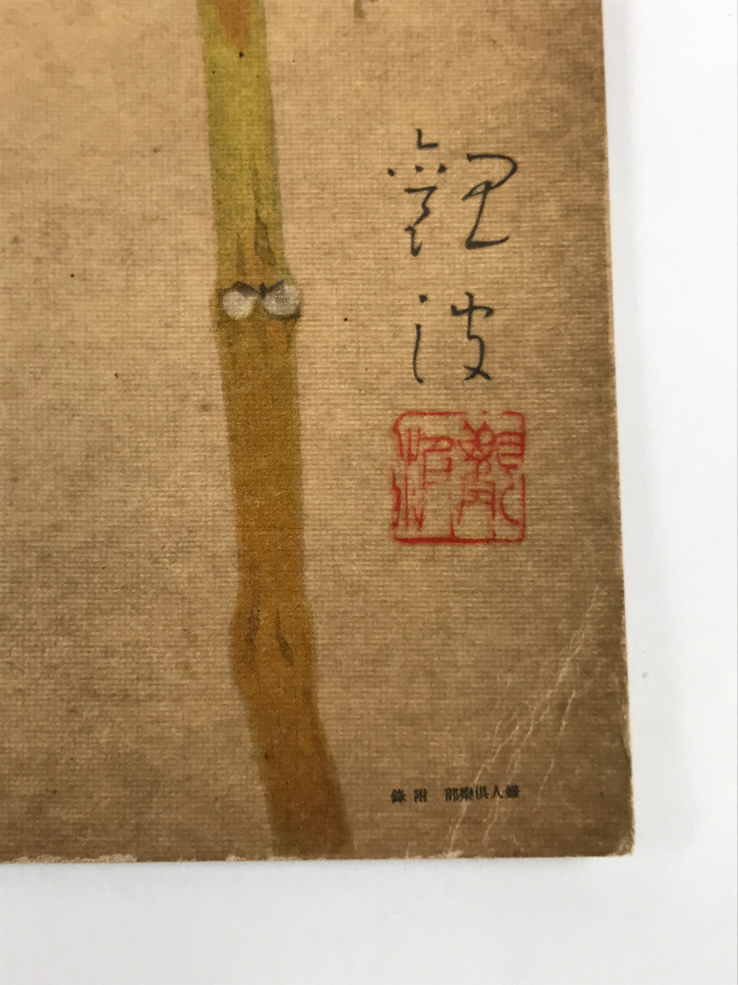 Japanese Shikishi Art Reproduction Cricket On Physalis Green Orange A643