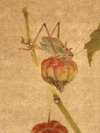 Japanese Shikishi Art Reproduction Cricket On Physalis Green Orange A643