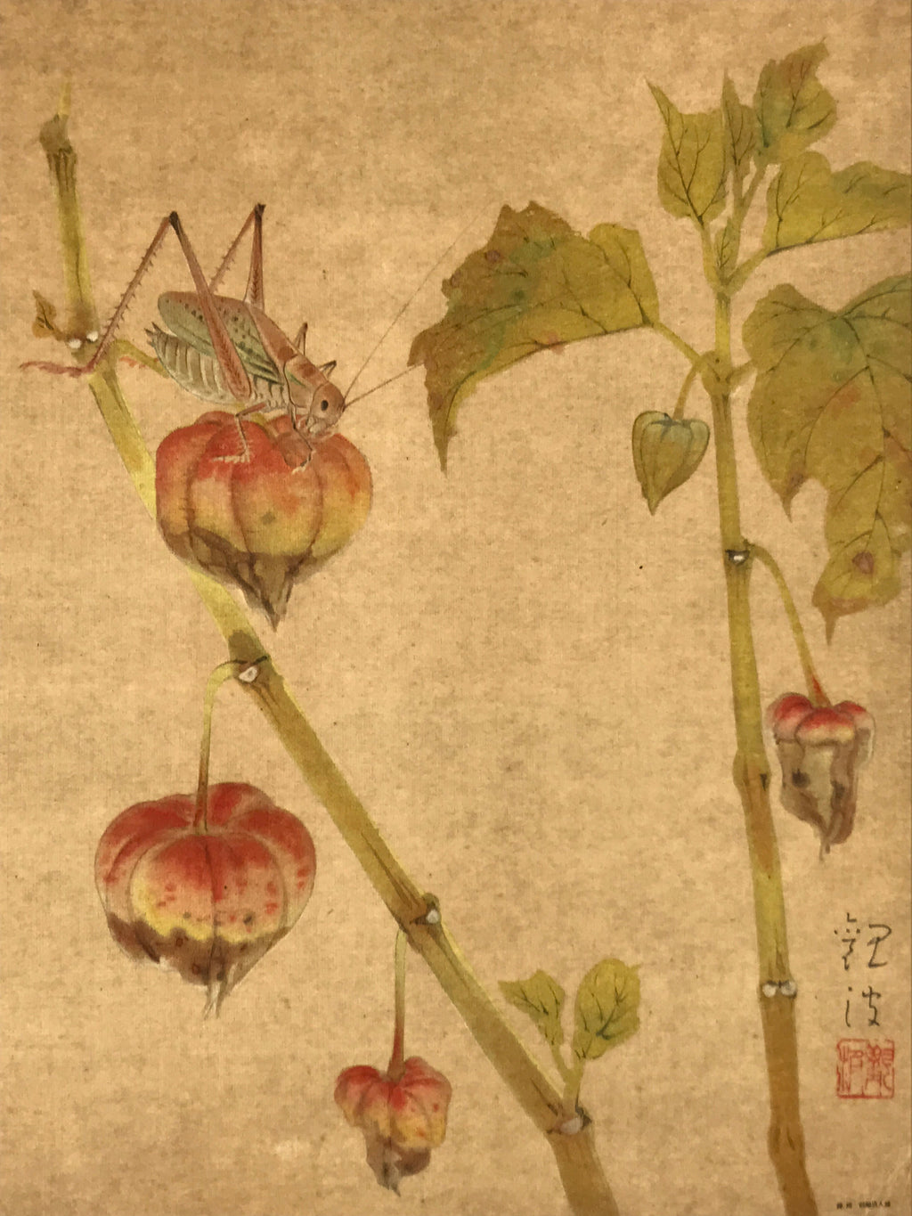 Japanese Shikishi Art Reproduction Cricket On Physalis Green Orange A643
