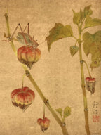 Japanese Shikishi Art Reproduction Cricket On Physalis Green Orange A643