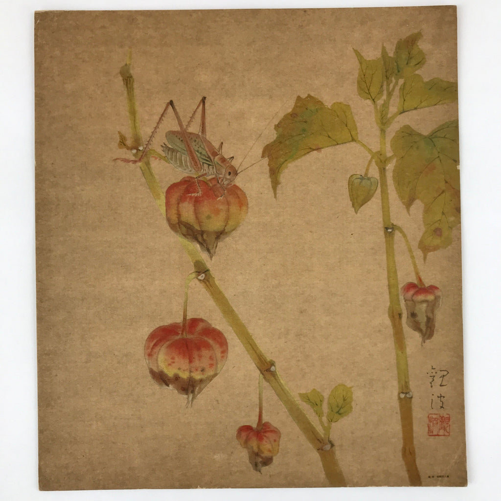 Japanese Shikishi Art Reproduction Cricket On Physalis Green Orange A643