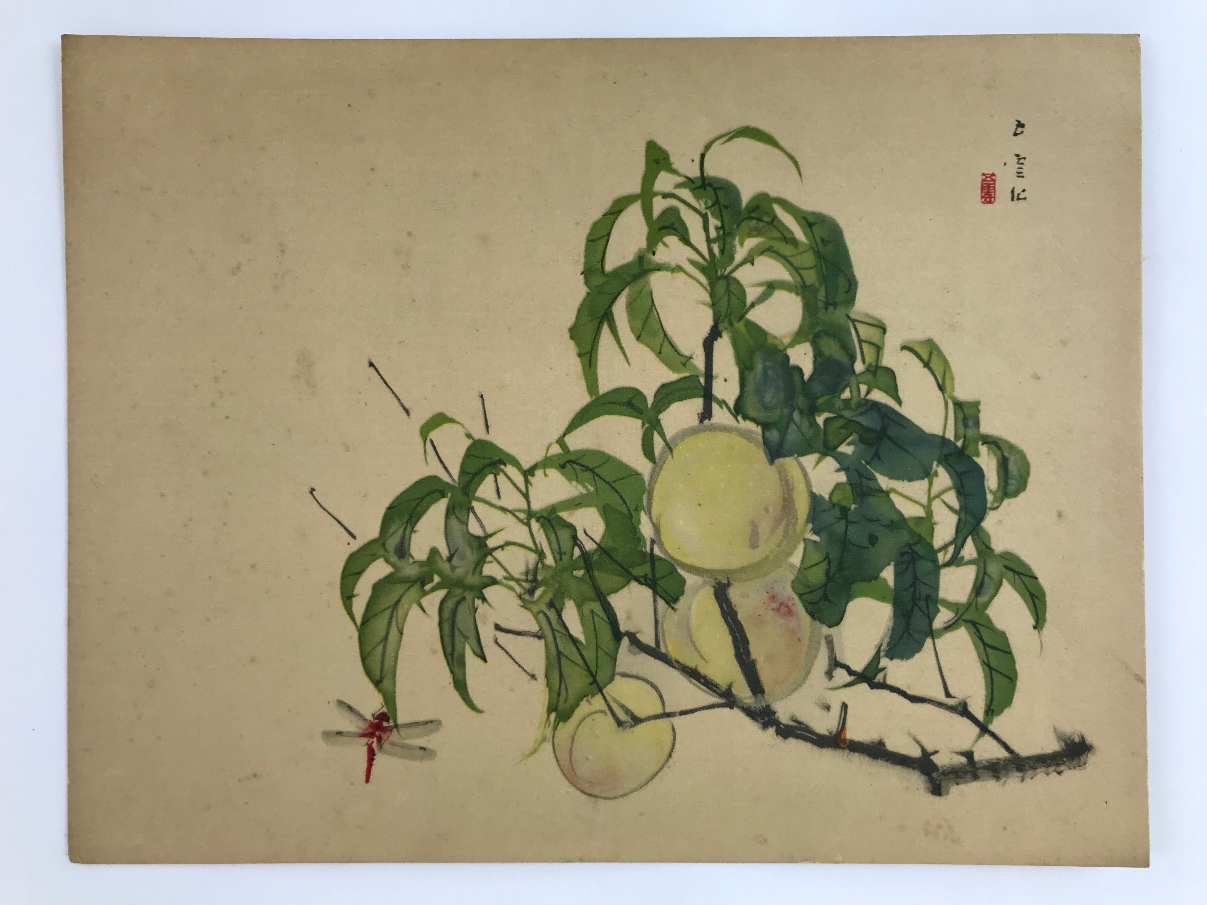 Japanese Shikishi Art Reproduction Nishimura Goun Peaches Of Imortality A647