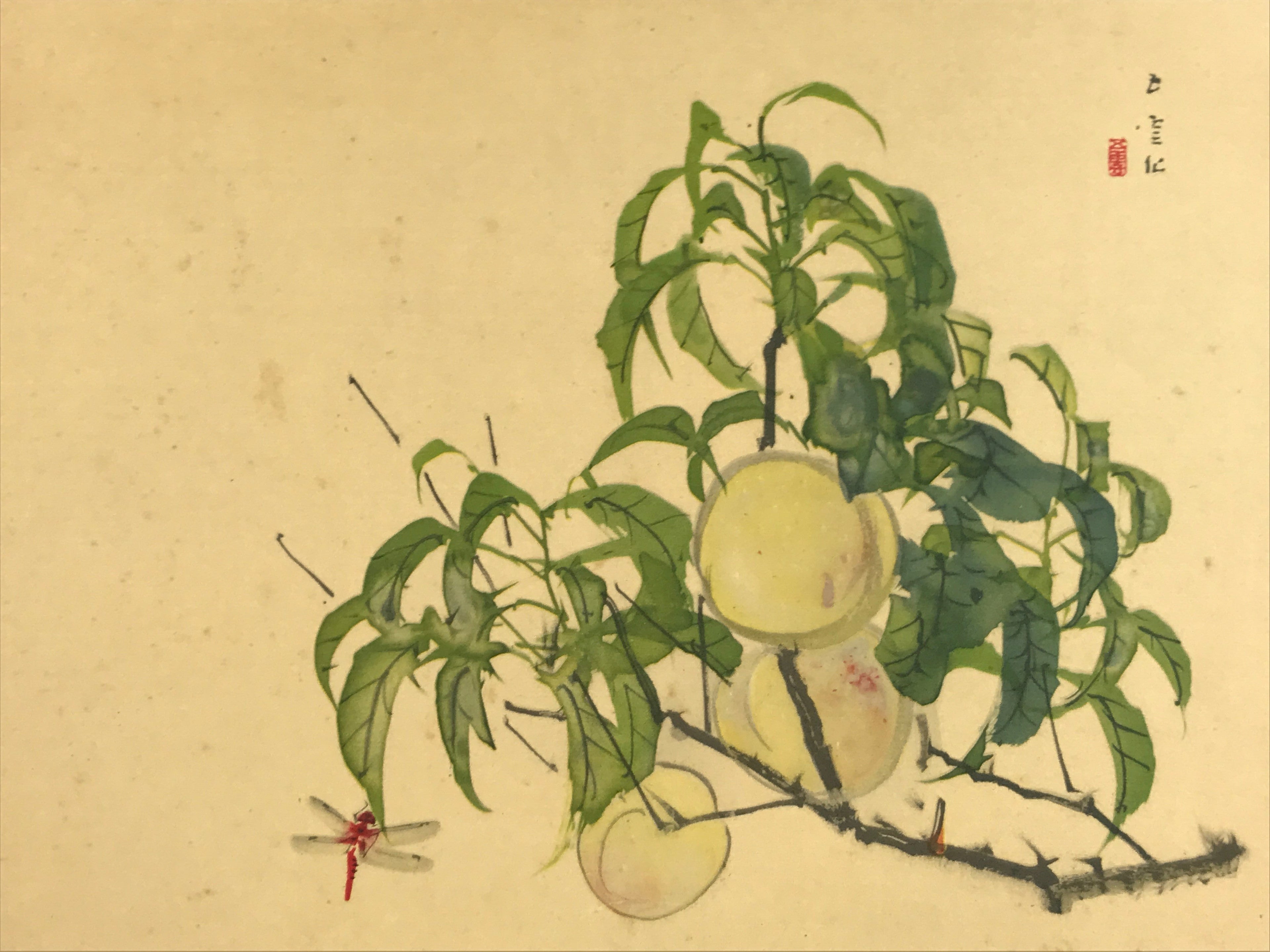 Japanese Shikishi Art Reproduction Nishimura Goun Peaches Of Imortality A647