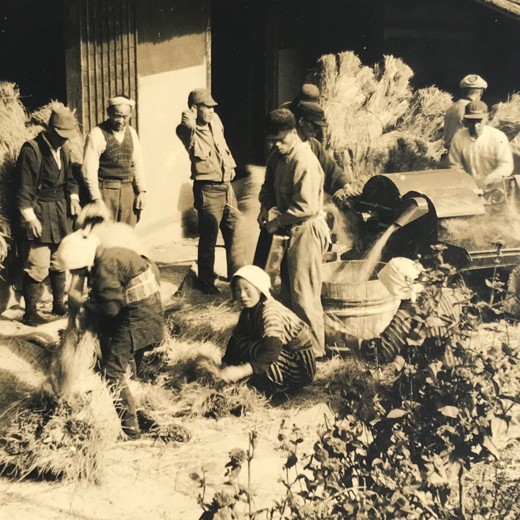 Japanese Showa Community Rice Processing Group Photograph Daily Life Sepia PH81