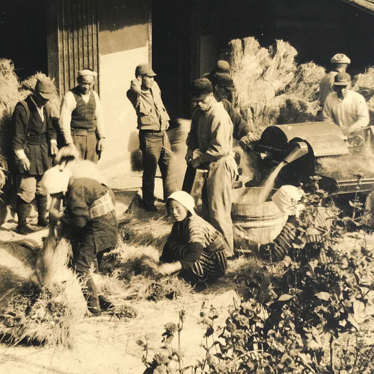 Japanese Showa Community Rice Processing Group Photograph Daily Life Sepia PH81