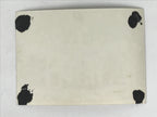 Japanese Showa Company Staff Group Photograph Vtg Suits Yukata Sepia Tone PH149
