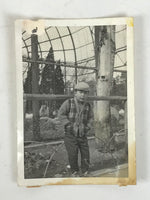 Japanese Showa Era Young Boy Photograph Vtg Daily Life Child Black White PH246