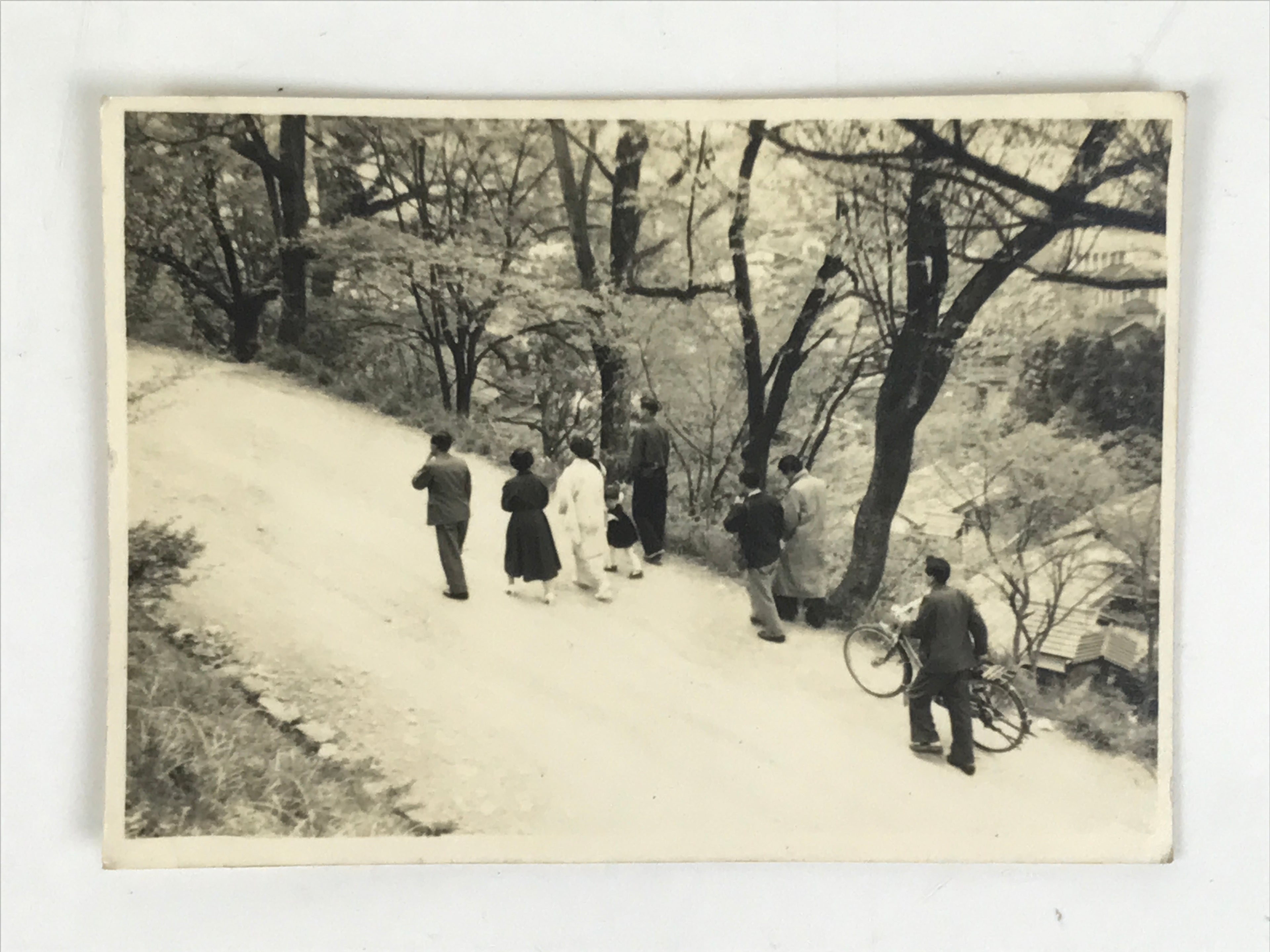 Japanese Showa Family Stroll Photograph Vtg Daily Life Street Black White PH262