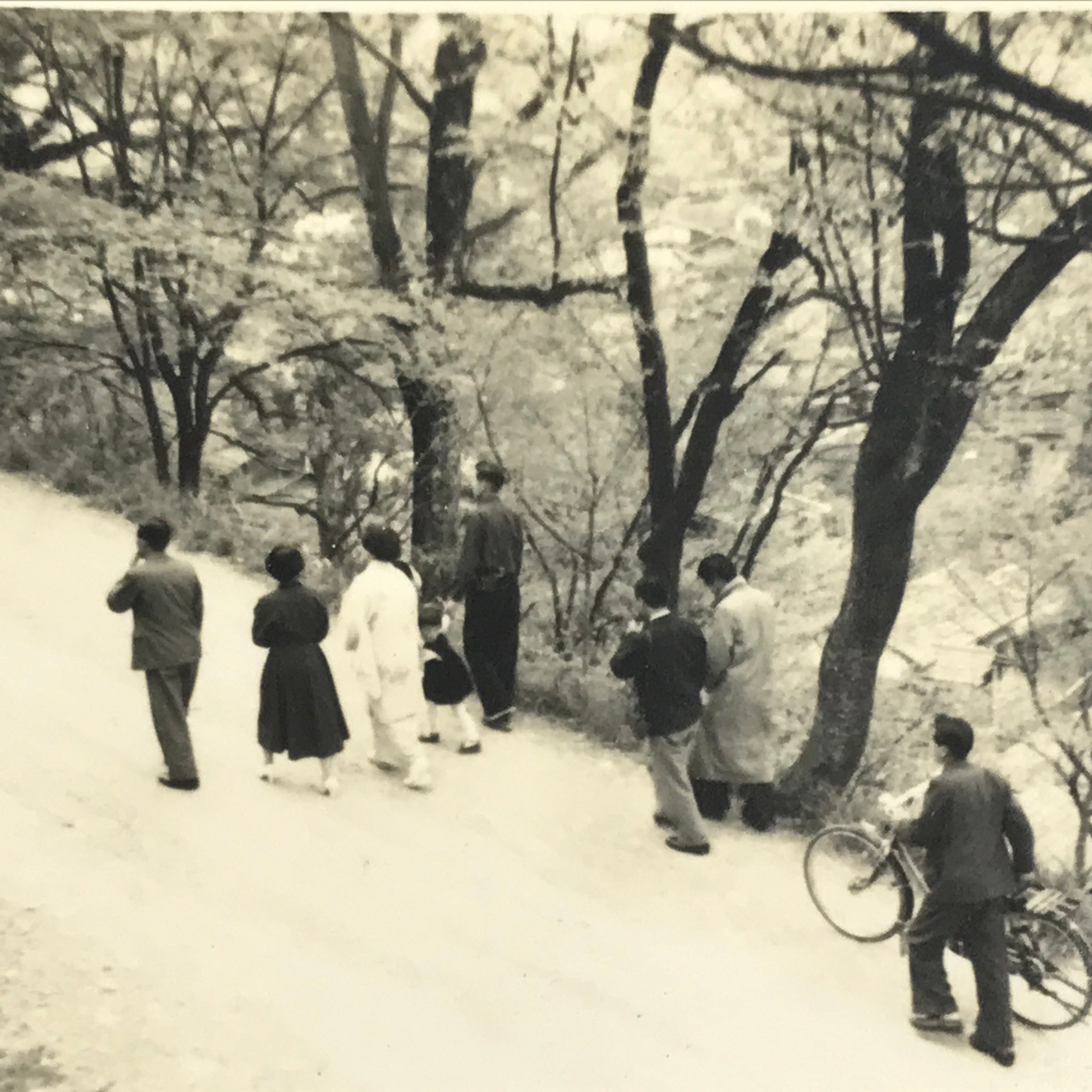 Japanese Showa Family Stroll Photograph Vtg Daily Life Street Black White PH262