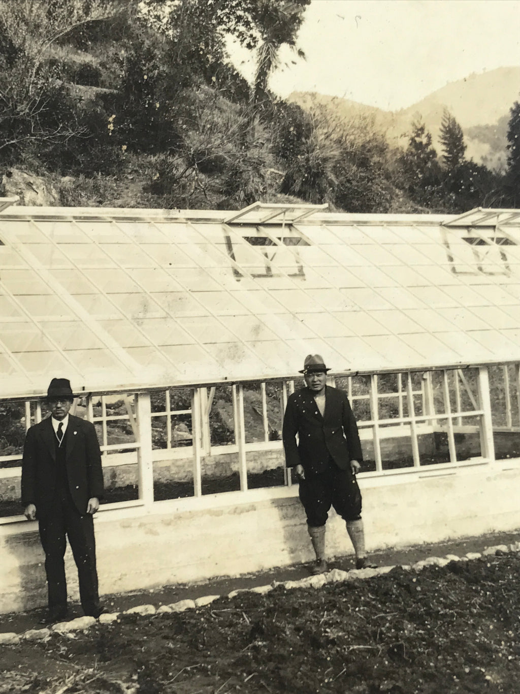 Japanese Showa Greenhouse Garden Photograph Vtg Daily Life Men Black White PH91