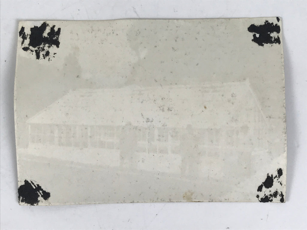 Japanese Showa Greenhouse Garden Photograph Vtg Daily Life Men Black White PH91