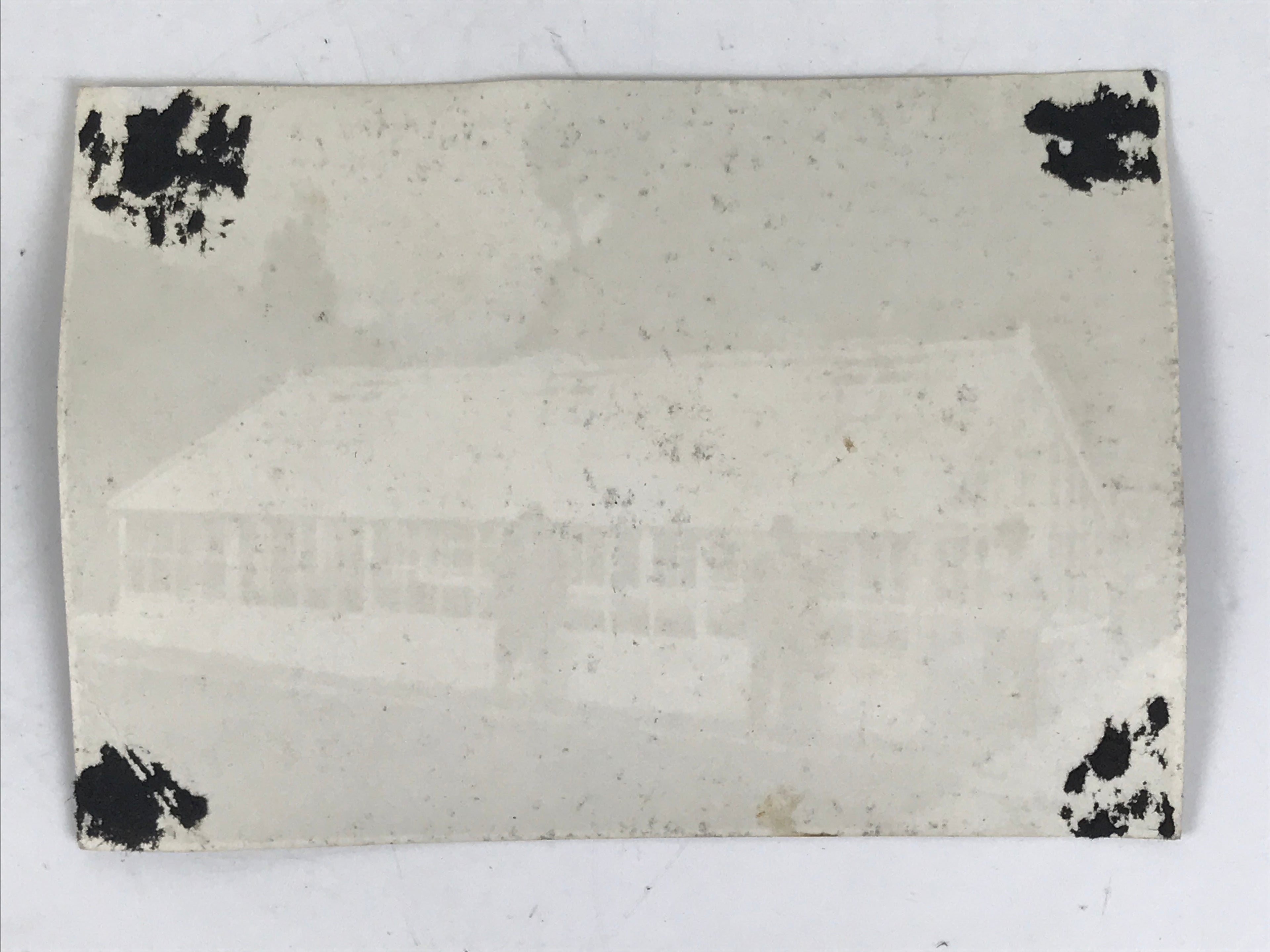 Japanese Showa Greenhouse Garden Photograph Vtg Daily Life Men Black White PH91