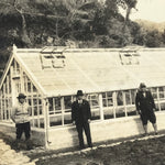Japanese Showa Greenhouse Garden Photograph Vtg Daily Life Men Black White PH91