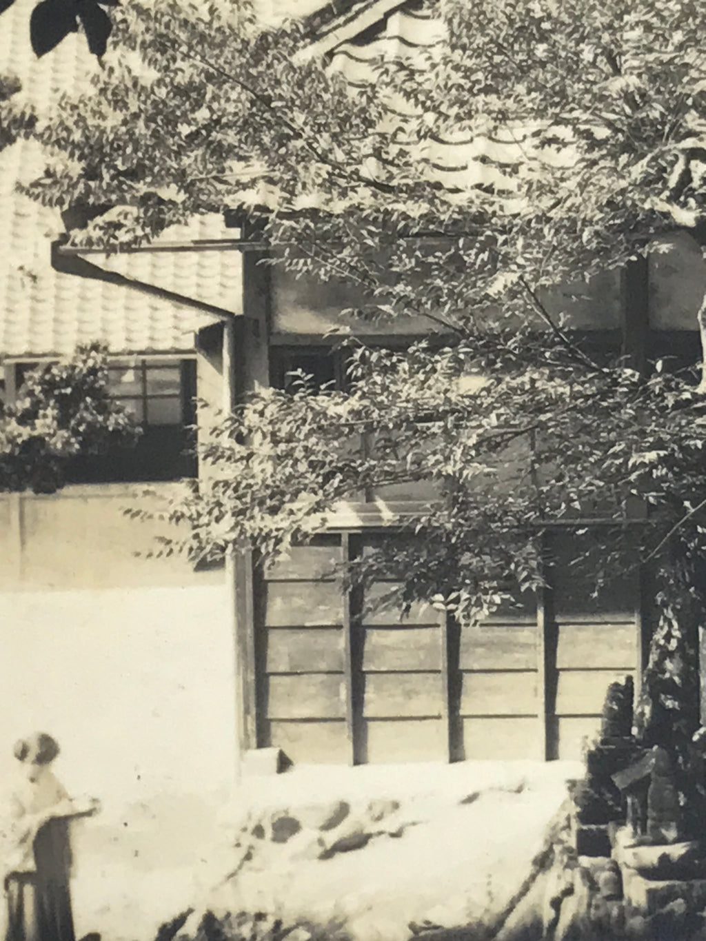 Japanese Showa Old Tree Pruning Group Photograph Men Daily Life Black White PH86