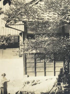 Japanese Showa Old Tree Pruning Group Photograph Men Daily Life Black White PH86