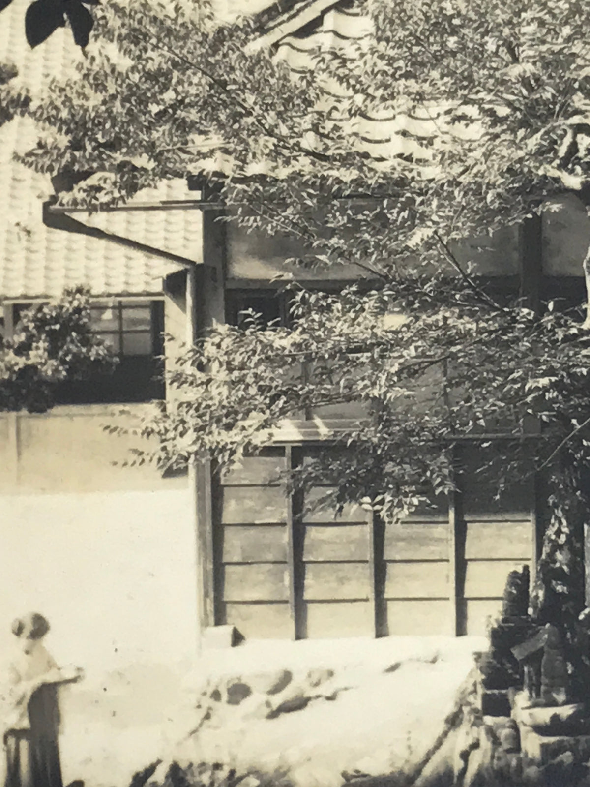 Japanese Showa Old Tree Pruning Group Photograph Men Daily Life Black White PH86