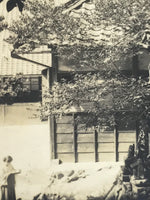 Japanese Showa Old Tree Pruning Group Photograph Men Daily Life Black White PH86