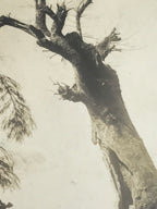 Japanese Showa Old Tree Pruning Group Photograph Men Daily Life Black White PH86