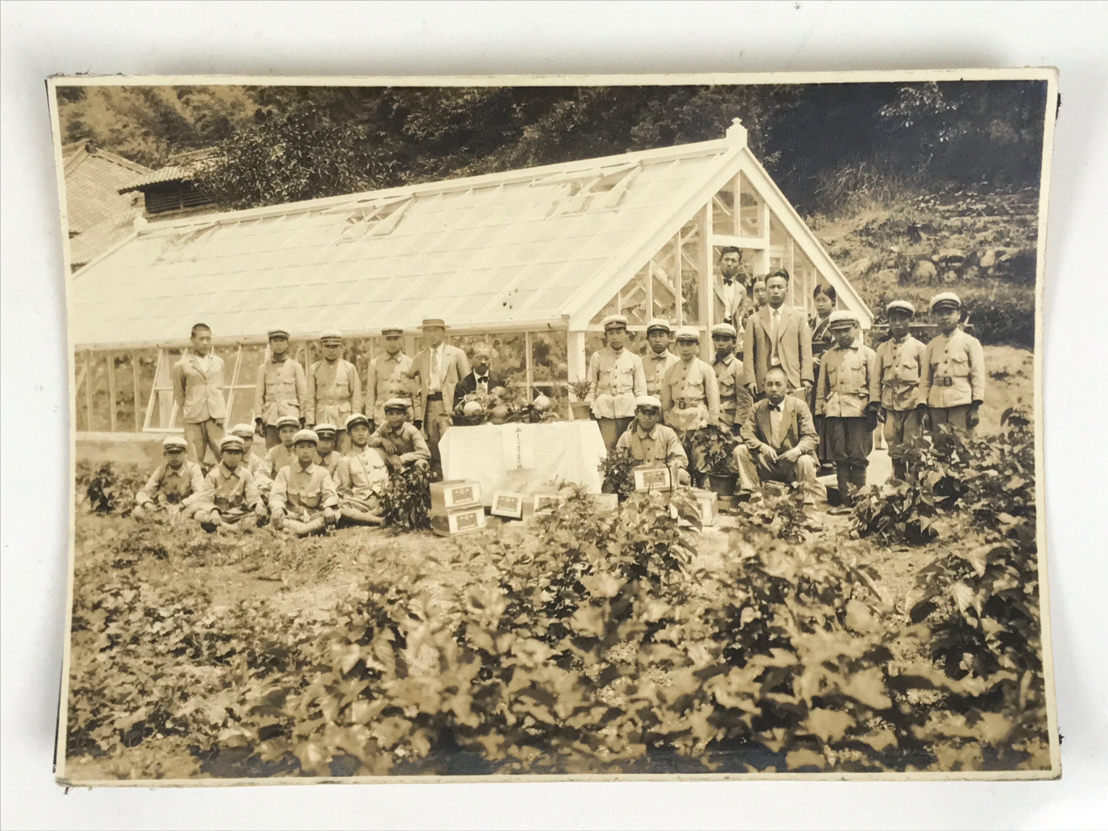 Japanese Showa School Boys Group Photograph Vtg Daily Life Gardening Sepia PH143