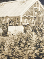 Japanese Showa School Boys Group Photograph Vtg Daily Life Gardening Sepia PH82