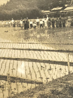 Japanese Showa School Group Rice Planting Photograph Vtg Daily Life Sepia PH84