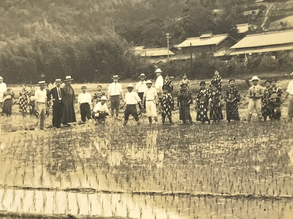 Japanese Showa School Group Rice Planting Photograph Vtg Daily Life Sepia PH84