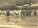 Japanese Showa School Group Rice Planting Photograph Vtg Daily Life Sepia PH84