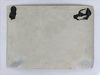 Japanese Showa School Group Rice Planting Photograph Vtg Daily Life Sepia PH85