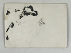 Japanese Showa Shinto Altar Ceremony Photograph Vtg Politician Black White PH241