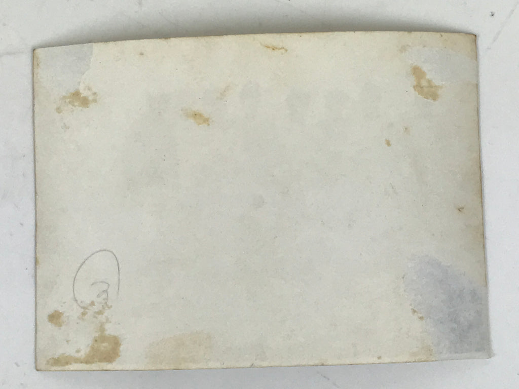 Japanese Showa Teen Boys Student Field Photograph Vtg Bones Skulls Sepia PH216