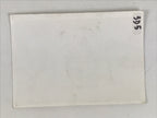 Japanese Showa Work Party Enkai Photograph Vtg Geisha Group Black White PH174