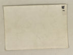 Japanese Showa Work Party Enkai Photograph Vtg Geisha Shamisen Black White PH171