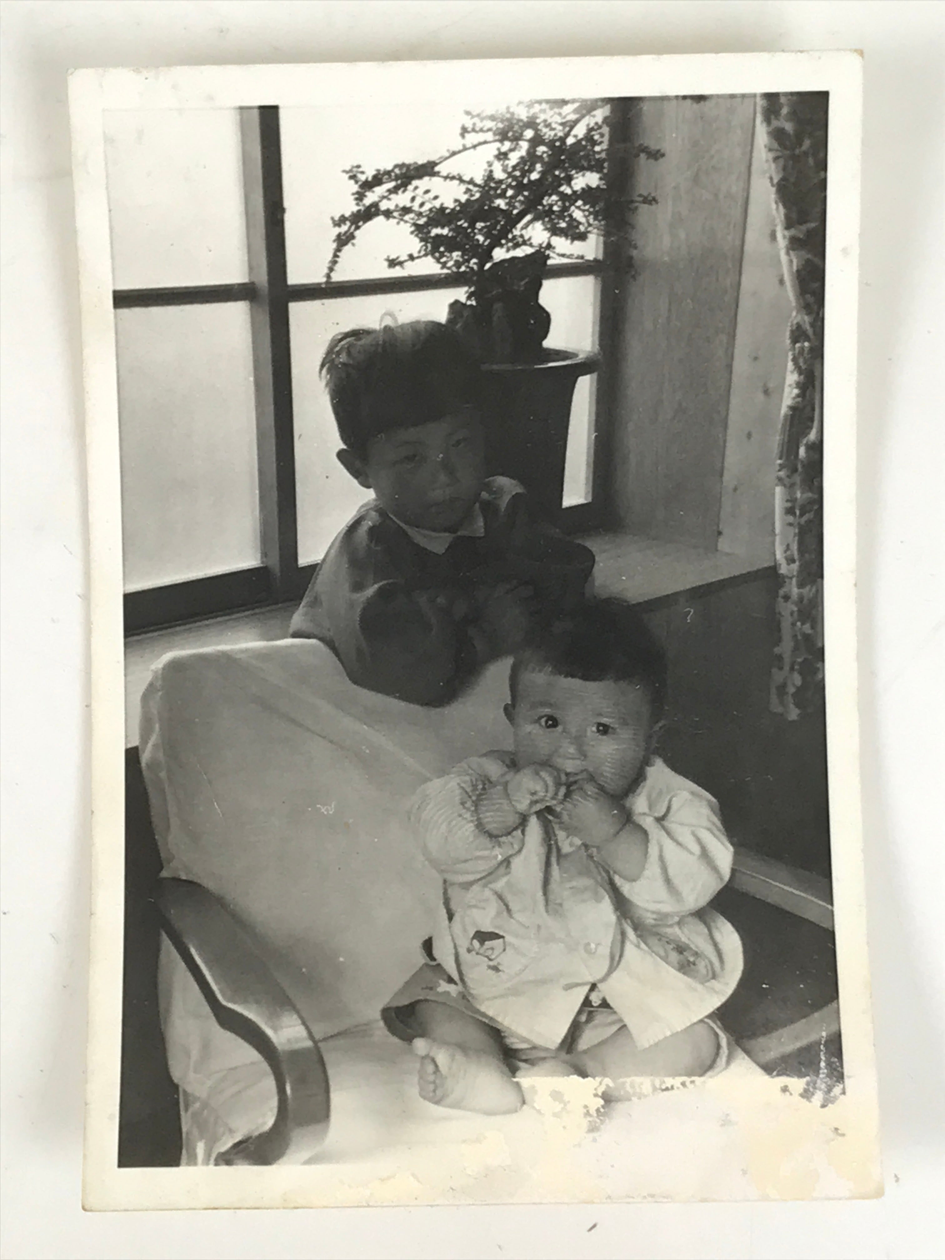 Japanese Showa Young Child Portrait Photograph Boy Daily Life Black White PH205