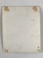 Japanese Showa Young Child Portrait Photograph Boy Daily Life Black White PH260