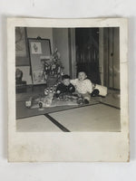 Japanese Showa Young Child Portrait Photograph Vtg Daily Life Black White PH265