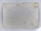 Japanese Showa Yuasa Trading Company Staff Group Photograph Vtg Black White PH97